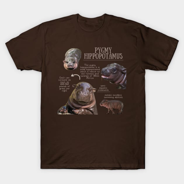 Animal Facts - Pygmy Hippopotamus T-Shirt by Animal Facts and Trivias